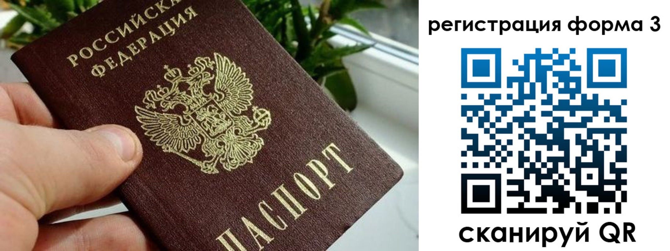 прописка штамп в Юрьев-Польском